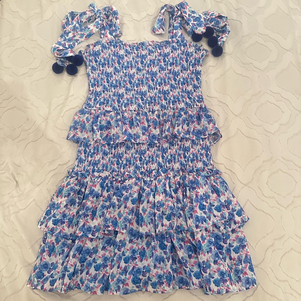 TCEC Smocked Blue Floral Mini Dress
